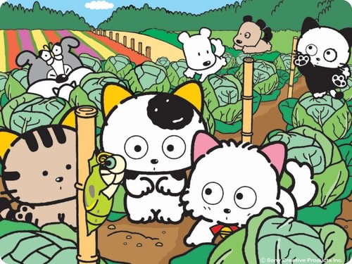 猫狗宠物街